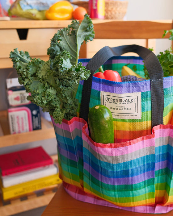 The B3 Best Buddy Bag - Rainbow Stripe