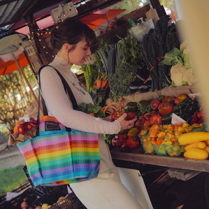 The B3 Best Buddy Bag - Rainbow Stripe