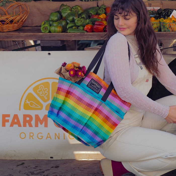 The B3 Best Buddy Bag - Rainbow Stripe